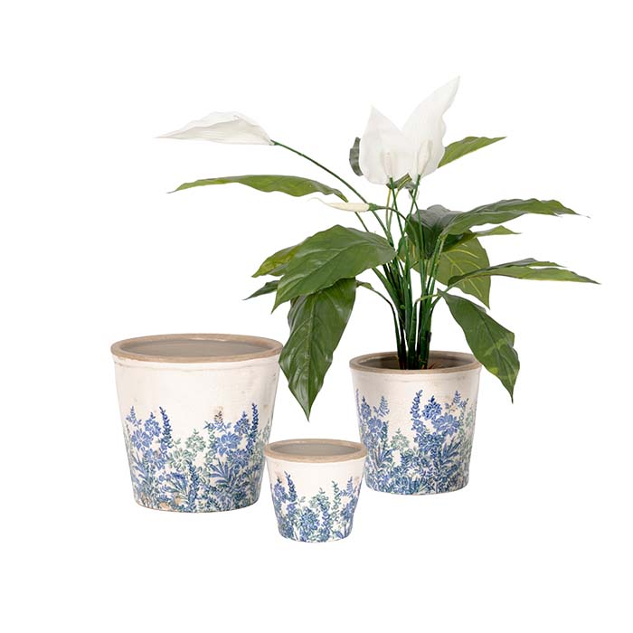 Lavender Summer Pots