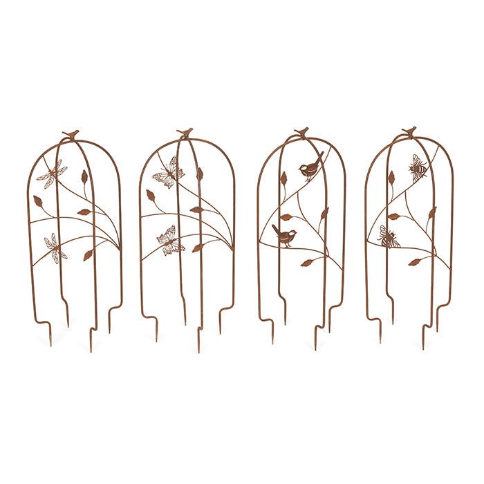 Le belle fleur Trellis