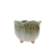 Enchanted Flower Pot