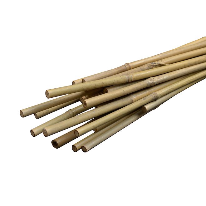 bamboo canes 90cm