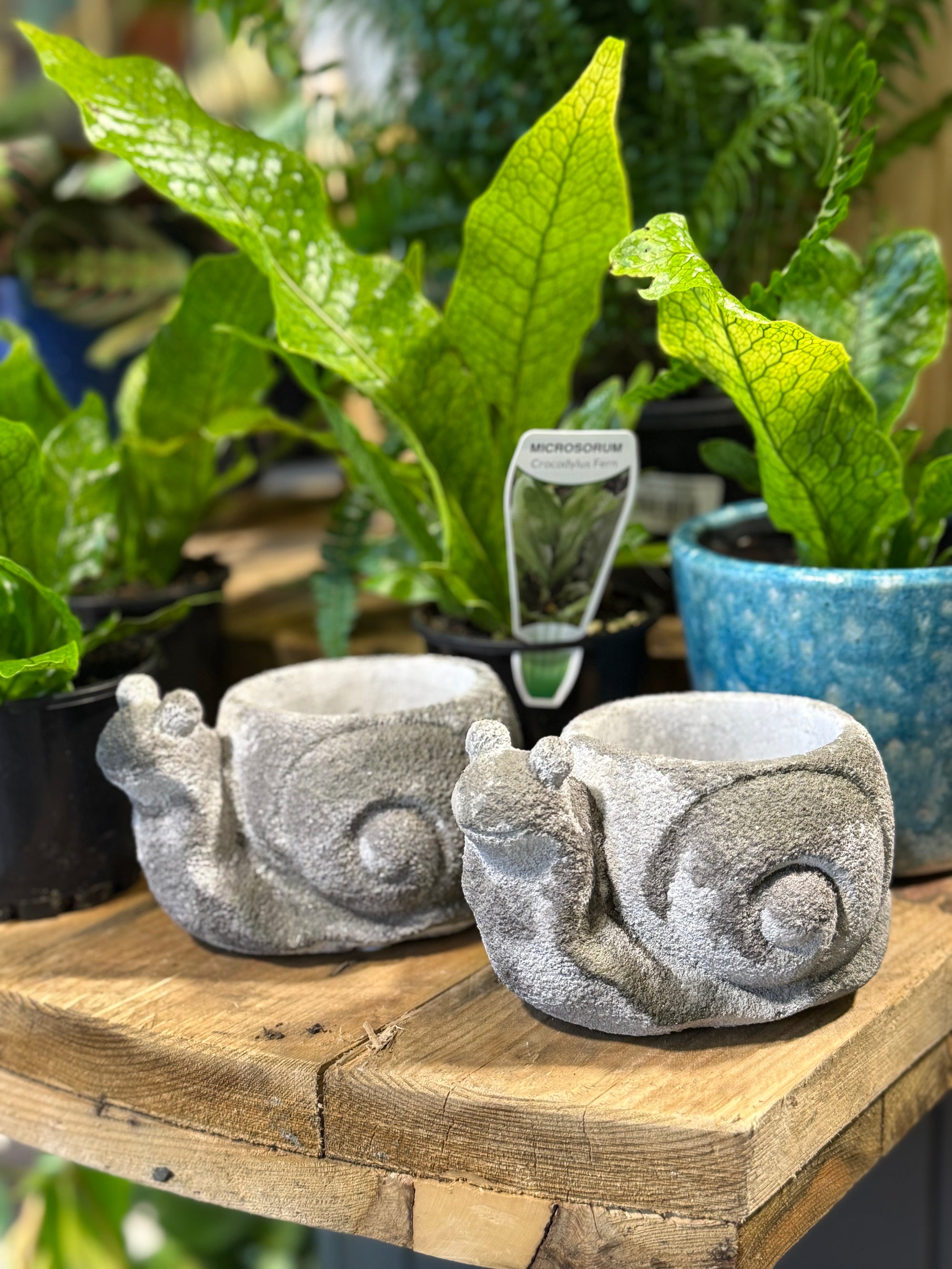 Forest Animal Pots