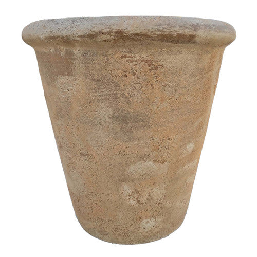 Antique Terracotta Bella Rosa pot