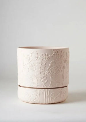 Angus & Celeste Folia Relief Pot