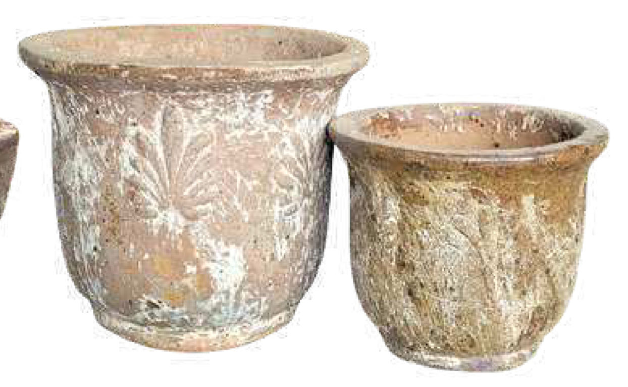 Roma Pot