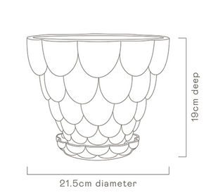 Angus & Celeste Jelly Plant Pot