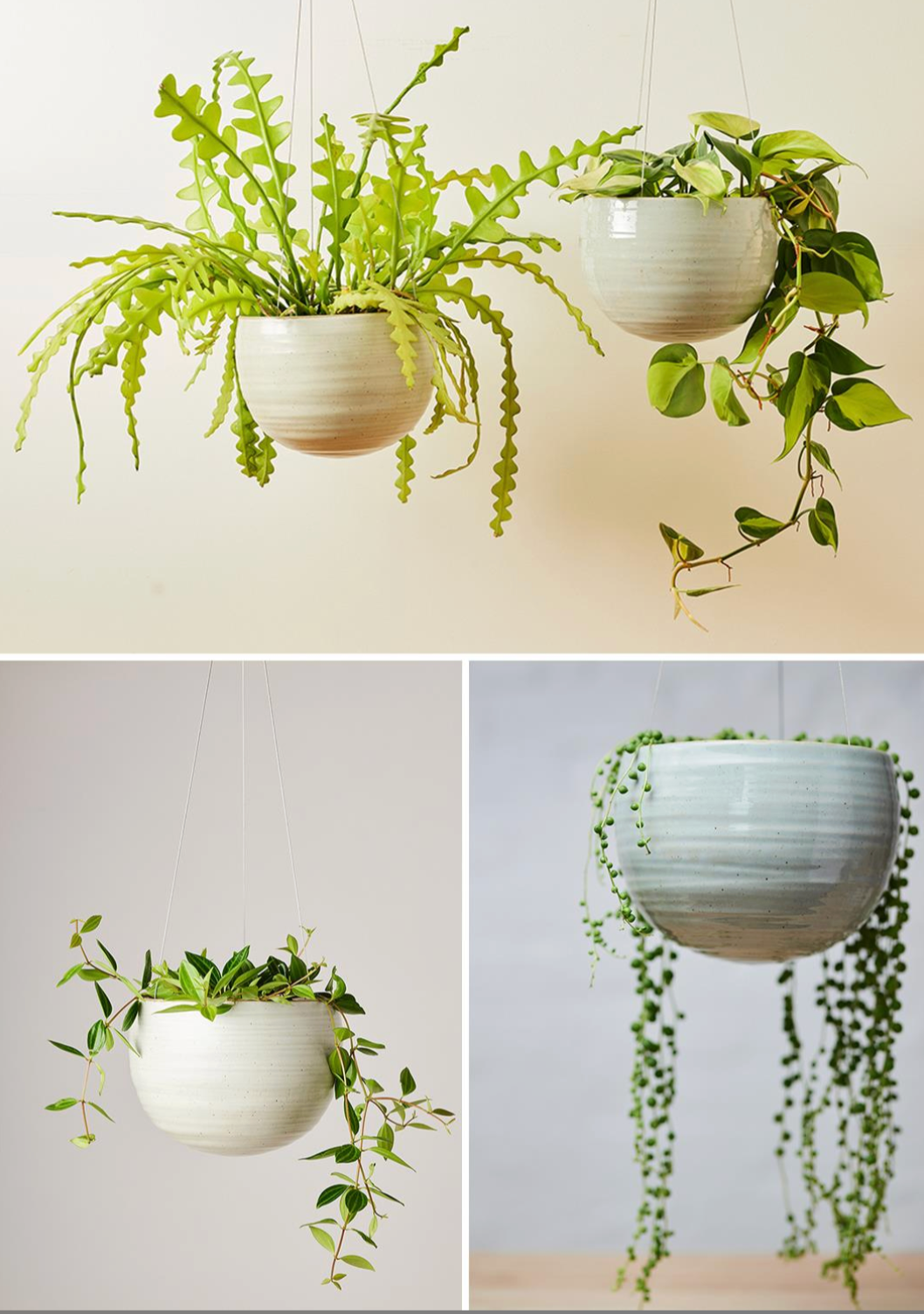 hanging planter australia Spherical Hanging Planter Large- Angus & Celeste