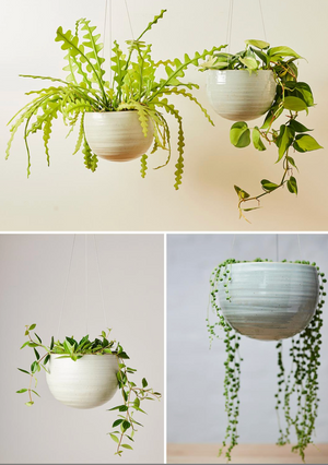 Spherical Hanging Planter  Large- Angus & Celeste