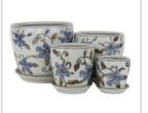 Hibiscus Garden Pots