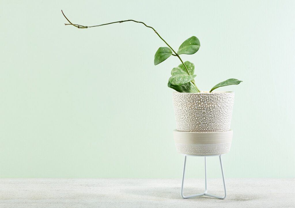 Water Bead Plant Pot