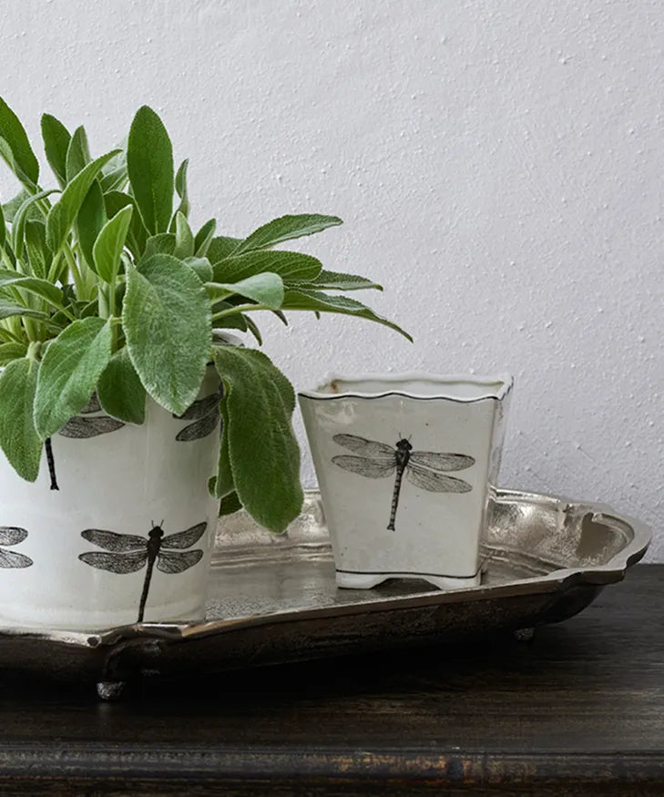 Dragonfly Square Pot