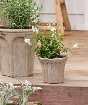 French Provincial Collection -Terra Fluted