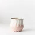 Clarisse Pot