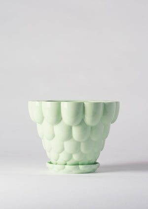 Angus & Celeste Jelly Plant Pot