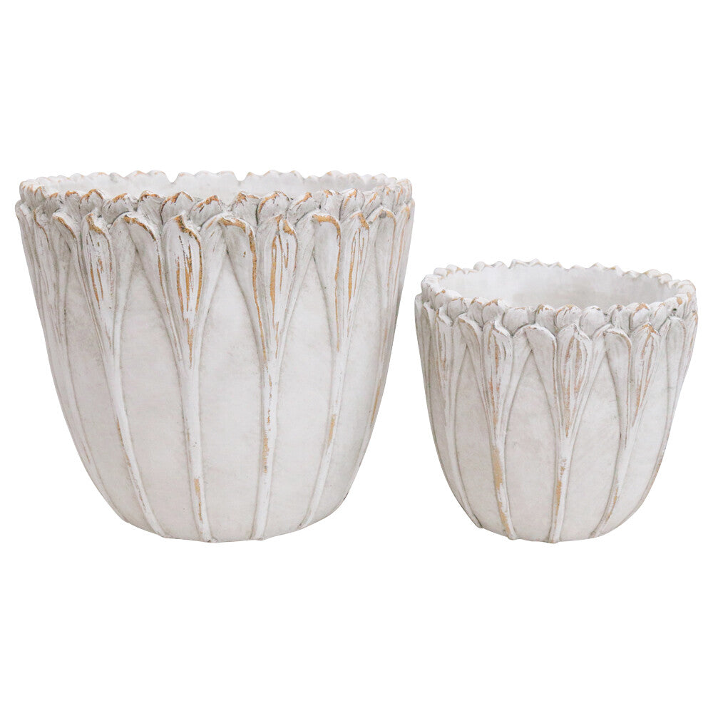 Gaudi Lily Planter