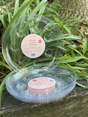 Clear vinyl saucer - Artisans Garden Nursery