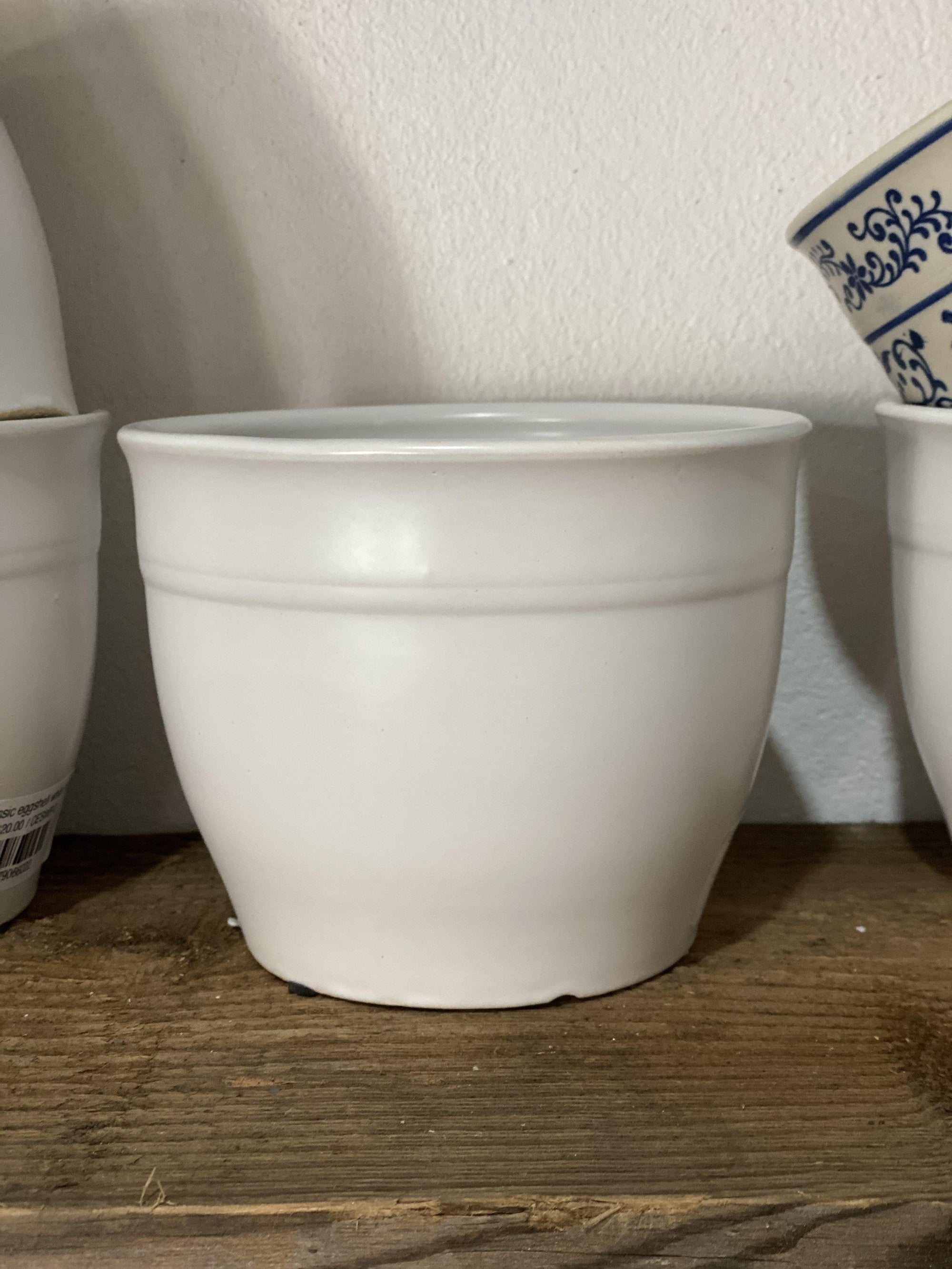 Classic eggshell white pot - Artisans Garden Nursery