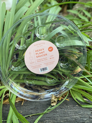 Clear vinyl saucer - Artisans Garden Nursery