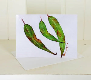 Garden inspired Gift cards - That Plant Shop
