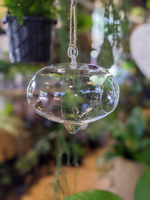 Terrarium floating glass pot vessel - That Plant Shop