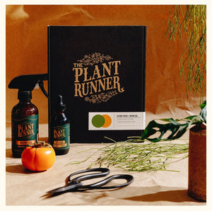The plant runner - plant care essentials kit