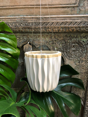 Vanilla pod ripple hanging pot