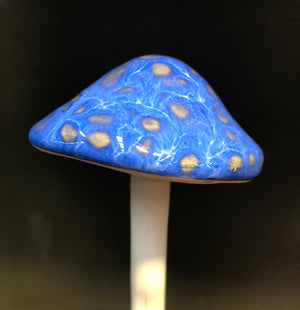 Moonbeam mushroom spike