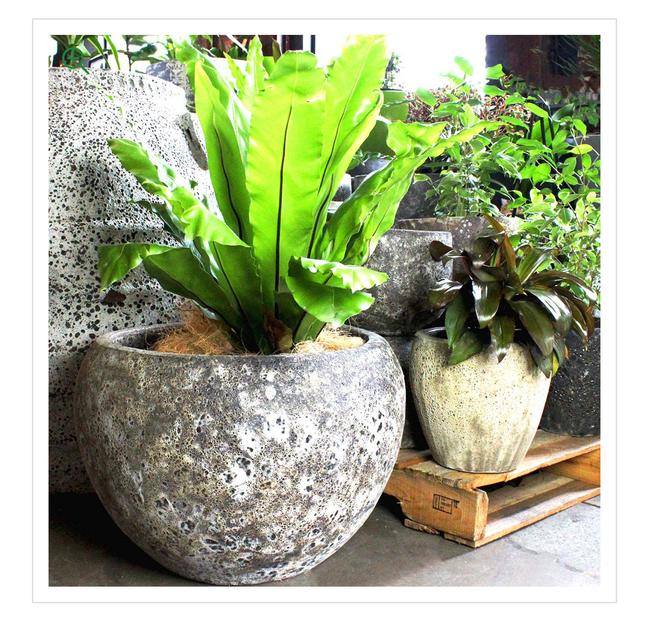 Santorini Seafoam Bermuda