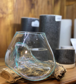 Glass bubble on driftwood pot - That Plant Shop