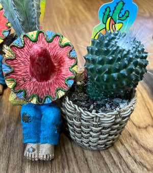 Mexicana potted cactus gift