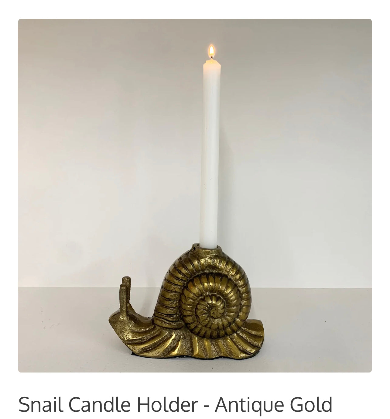 Snail candle holder