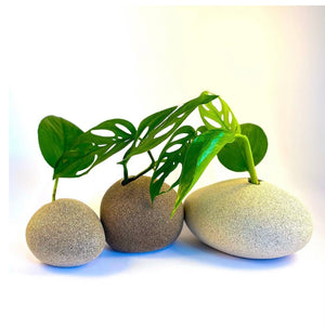 Pebbles plant propagating vessel