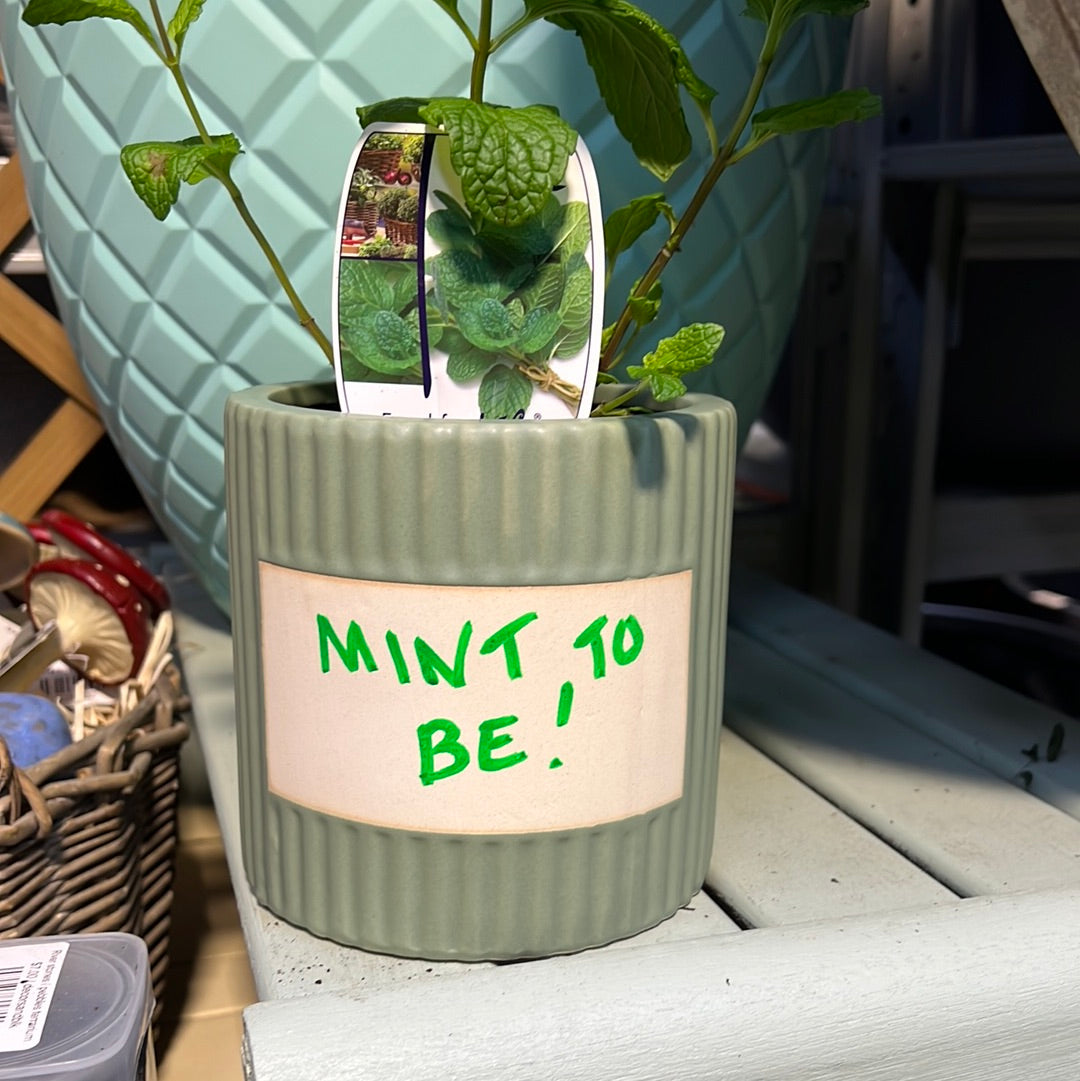 writable herb pot